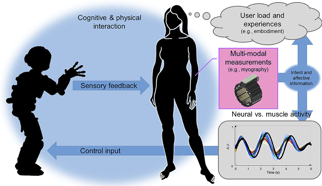 Peripheral Neuroergonomics – An Elegant Way to Improve Human-Robot Interaction?
